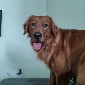 Meet your Posher, Edgardo